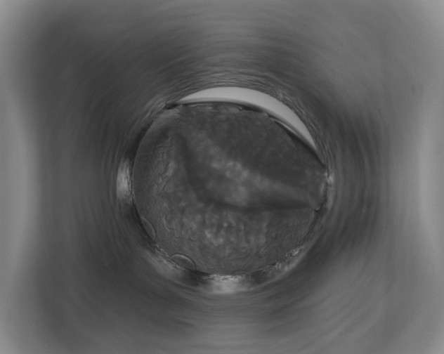 X0000112720143200908271416