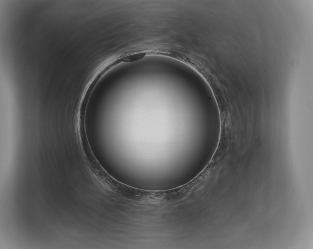 X0000112720148200908271415