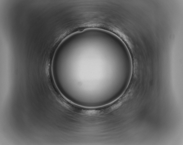 X0000112720153200908271415