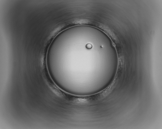 X0000112720159200908271415