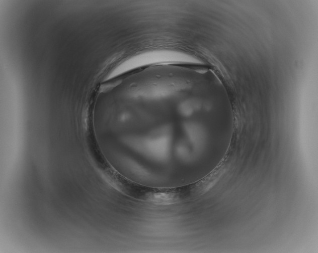 X0000112720163200908271415