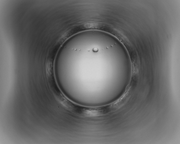 X0000112720171200908271415