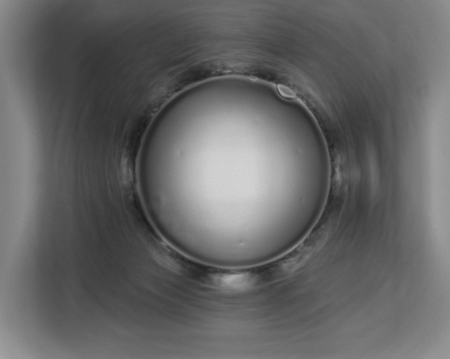 X0000112720173200908271415