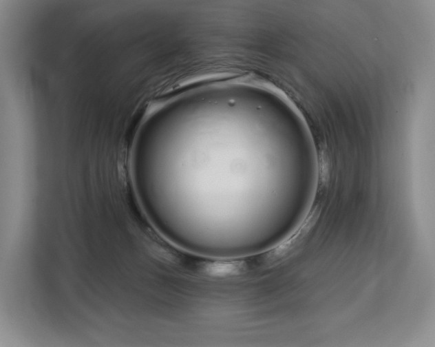 X0000112720175200908271415