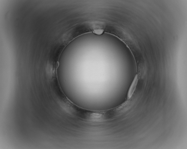 X0000112720176200908271415