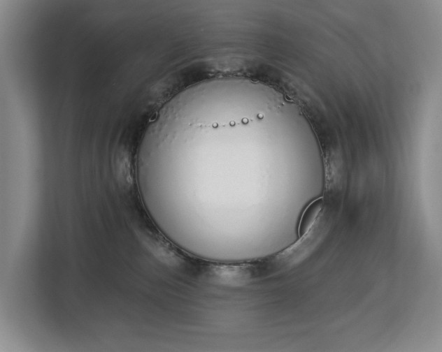 X0000112720187200908271415