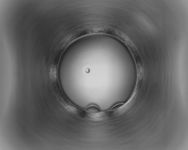 X0000112720191200908271415