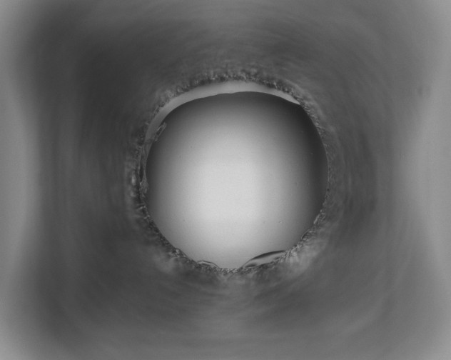 X0000112720192200908271415