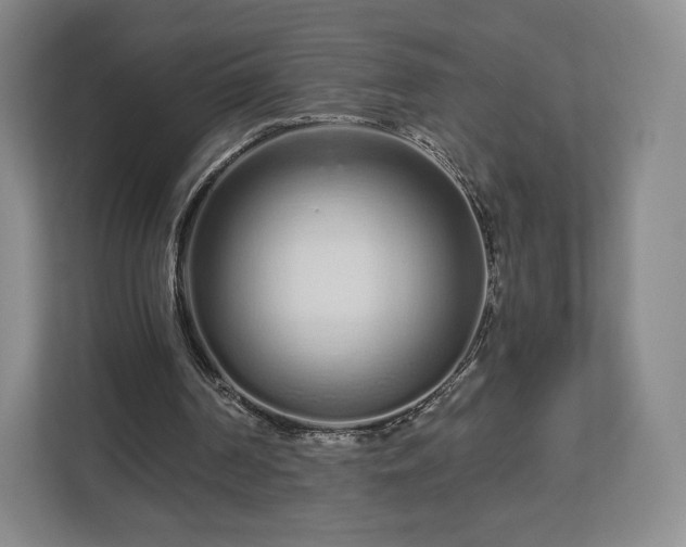 X0000112720194200908271415