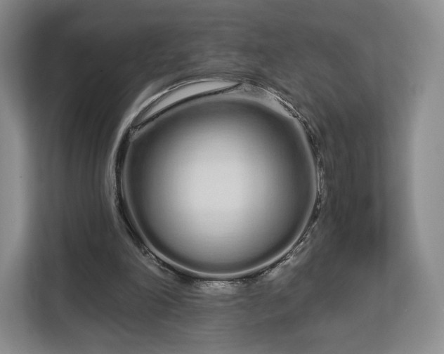 X0000112720198200908271415