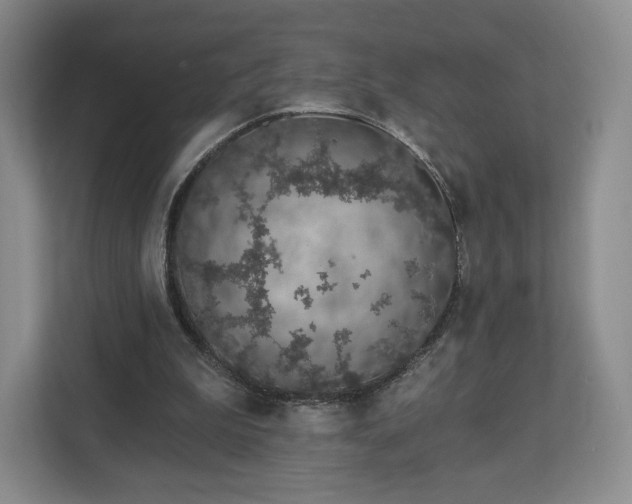 X0000112720199200908271415