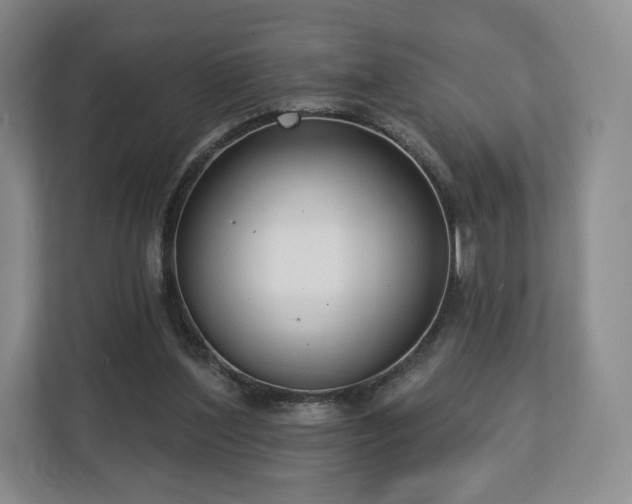 X0000112720204200908271415