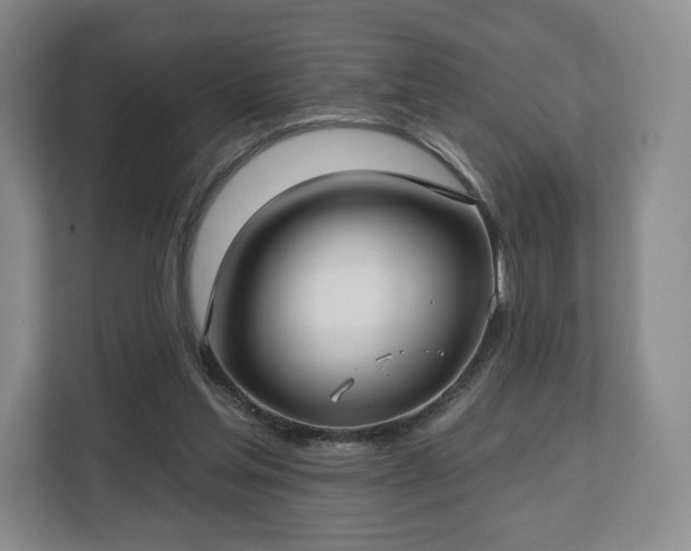 X0000112720205200908271415