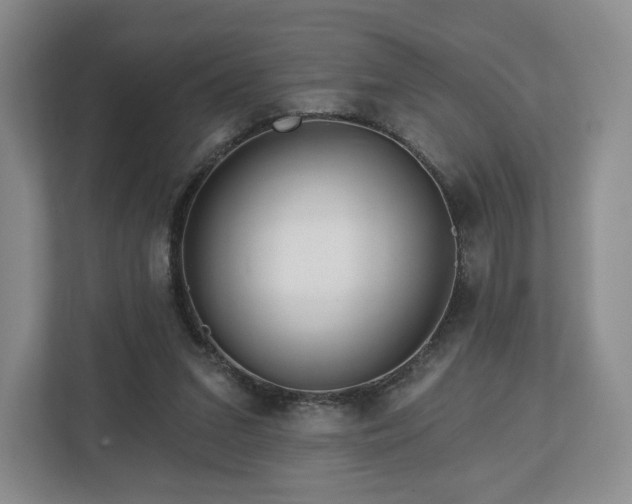 X0000112720207200908271415