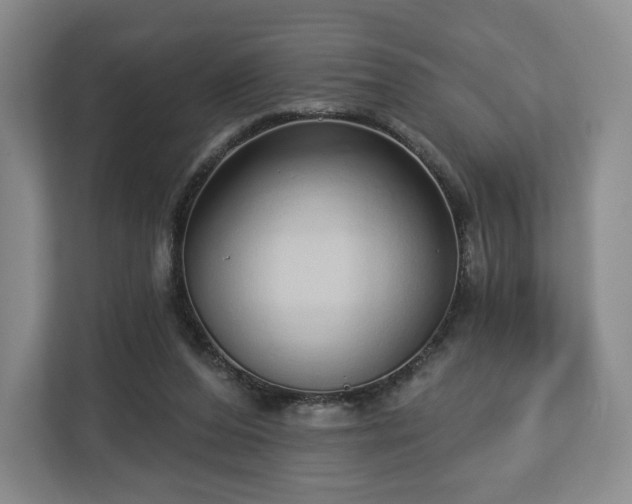 X0000112720208200908271415