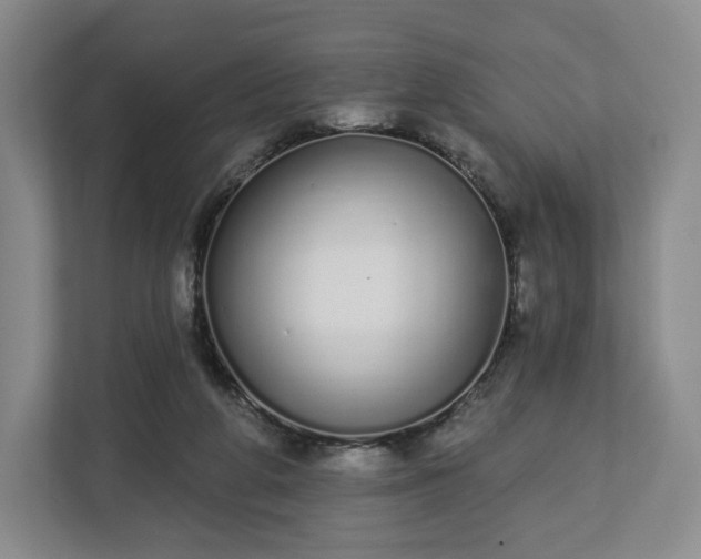 X0000112720210200908271415