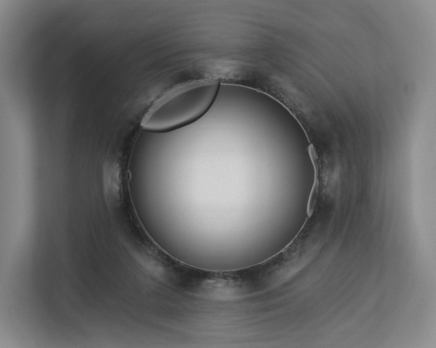 X0000112720211200908271415