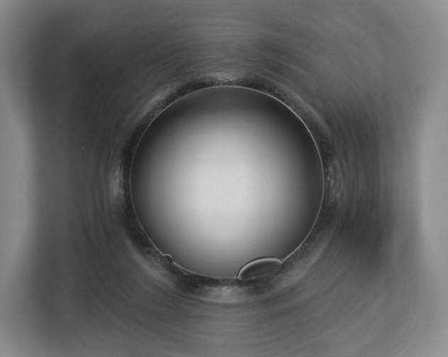 X0000112720212200908271415