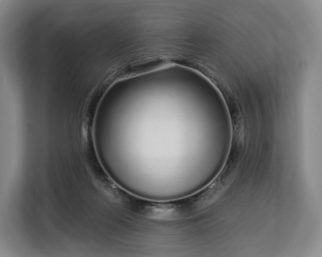 X0000112720214200908271415