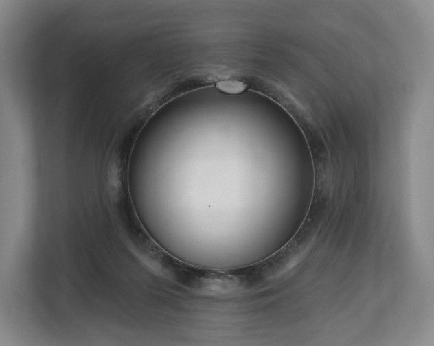 X0000112720215200908271415