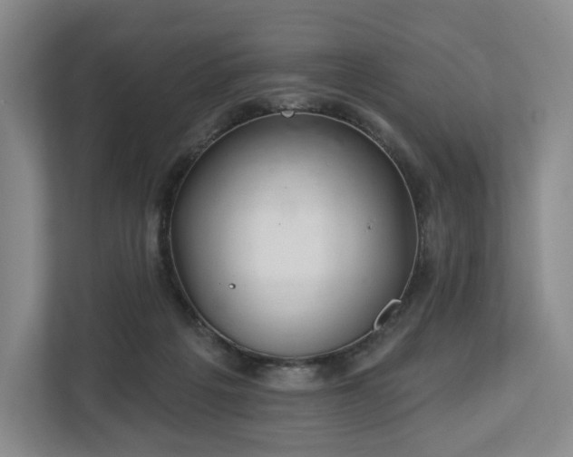 X0000112720217200908271415