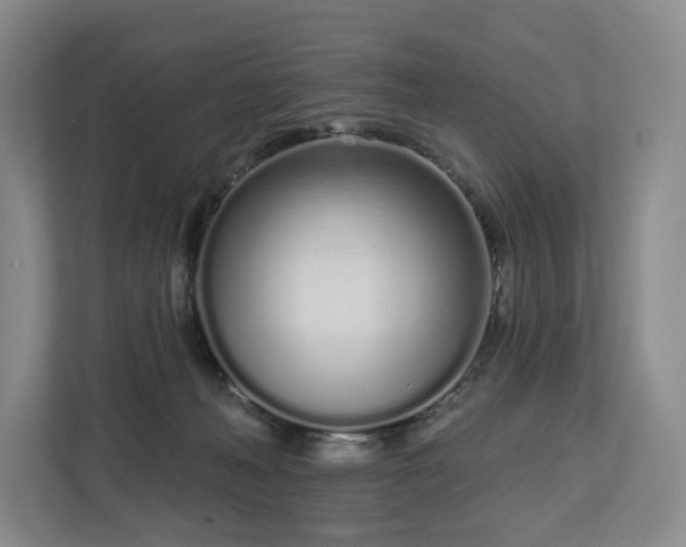 X0000112720222200908271414