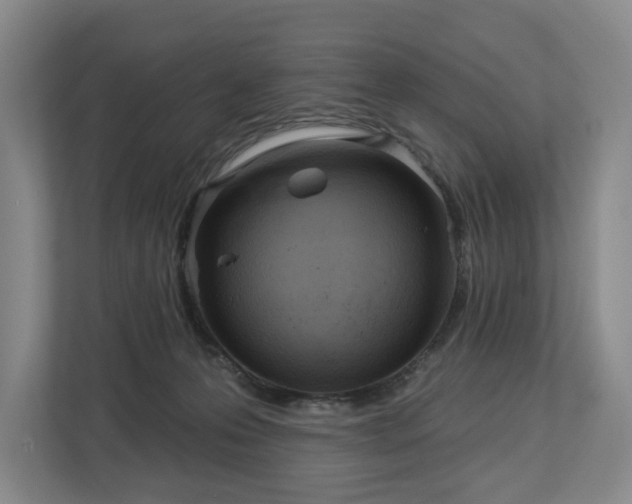 X0000112720223200908271414