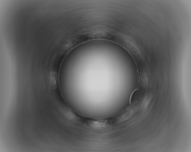 X0000112720232200908271414