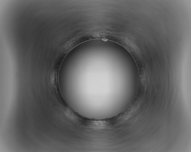 X0000112720233200908271414