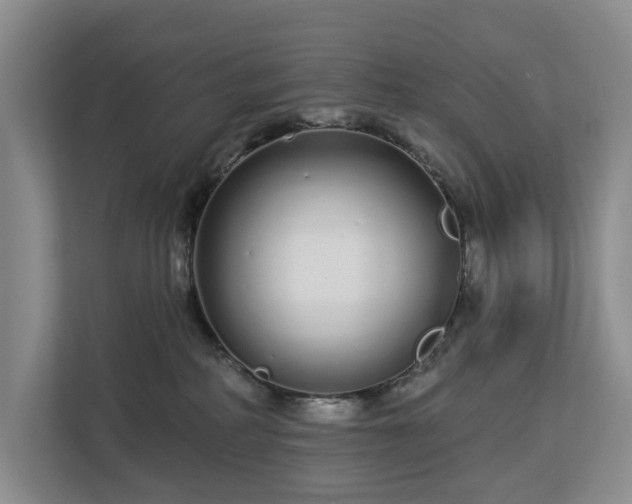 X0000112720234200908271414