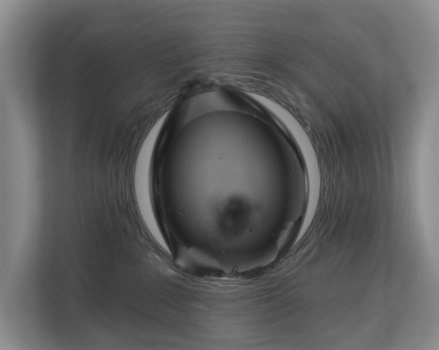 X0000112720235200908271414