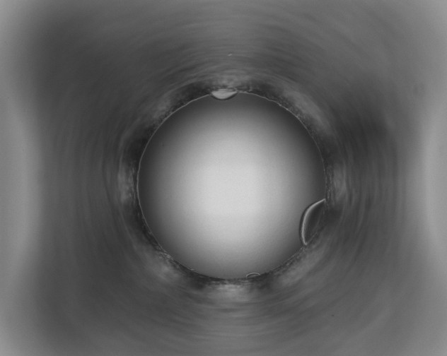 X0000112720236200908271414