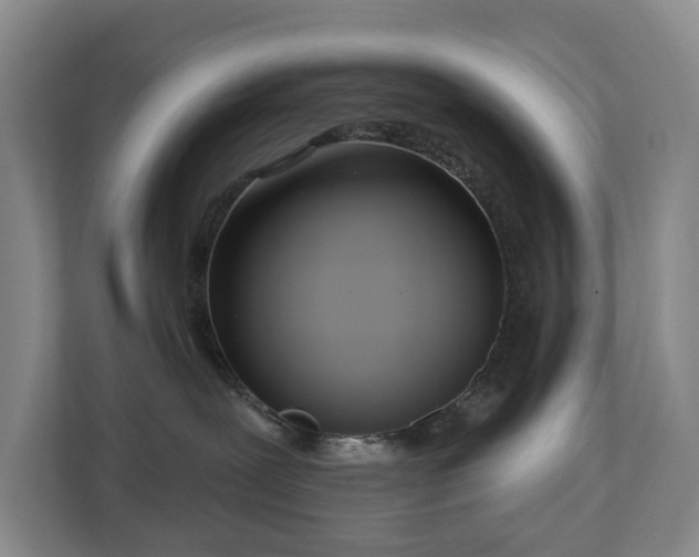 X0000112720239200908271414