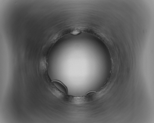 X0000112720240200908271414