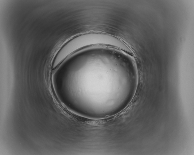 X0000112720241200908271414