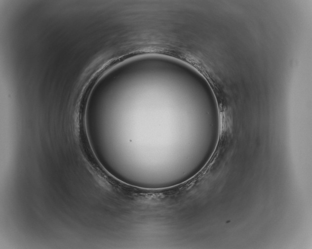 X0000112720243200908271414