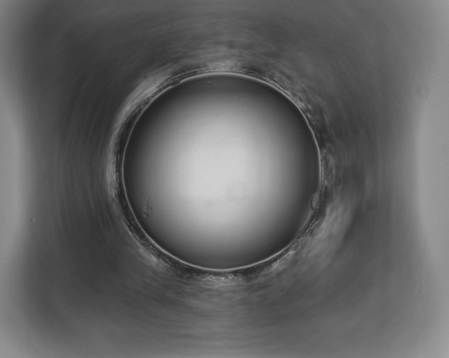 X0000112720245200908271414