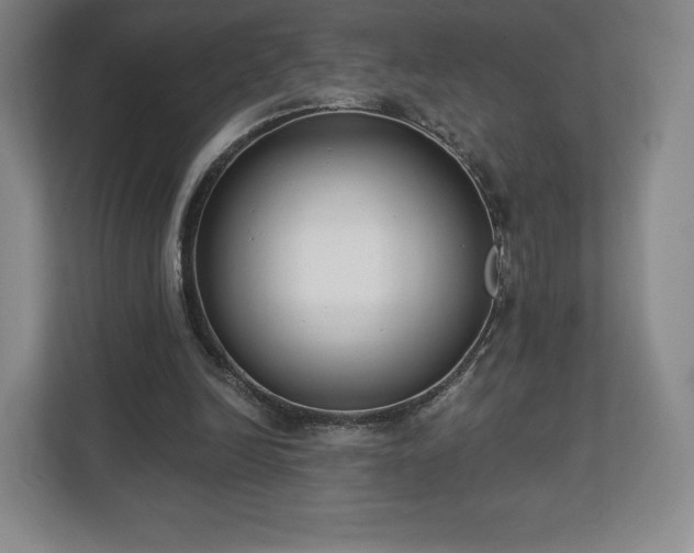 X0000112720246200908271414