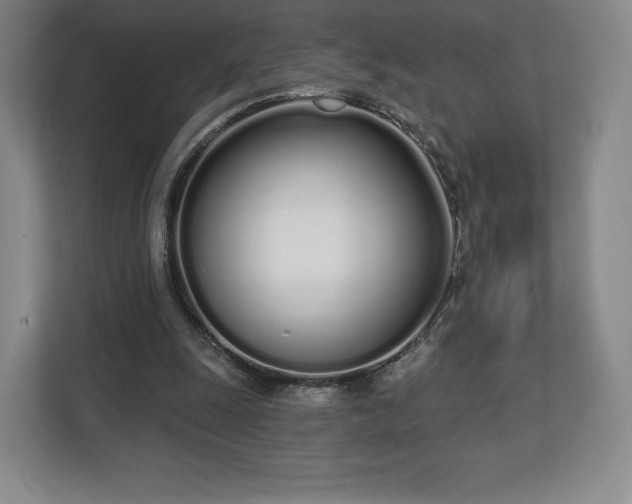 X0000112720247200908271414