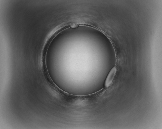 X0000112720248200908271414