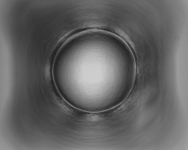 X0000112720249200908271414