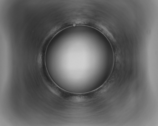 X0000112720250200908271414