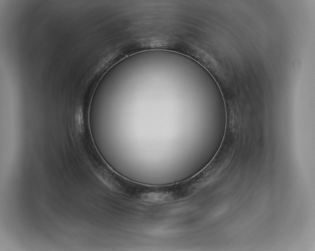 X0000112720251200908271414