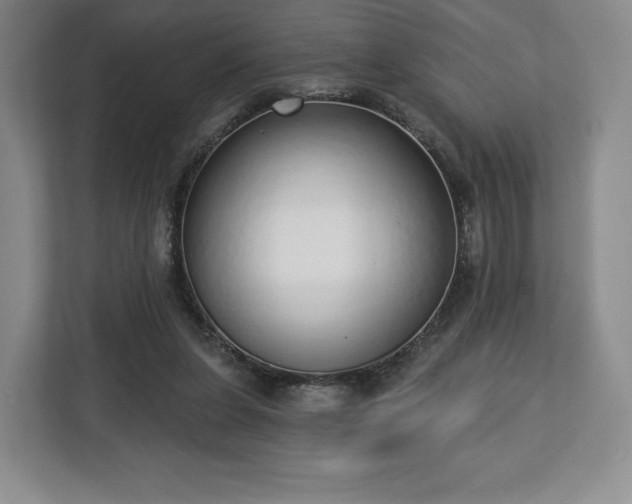 X0000112720255200908271414