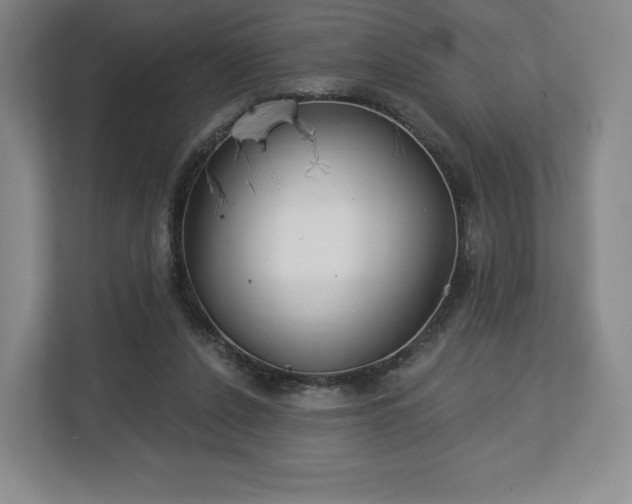 X0000112720256200908271414