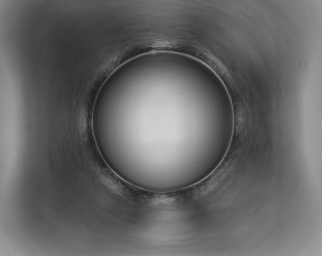 X0000112720257200908271414