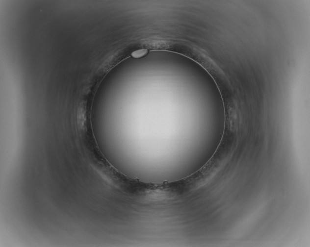 X0000112720259200908271414