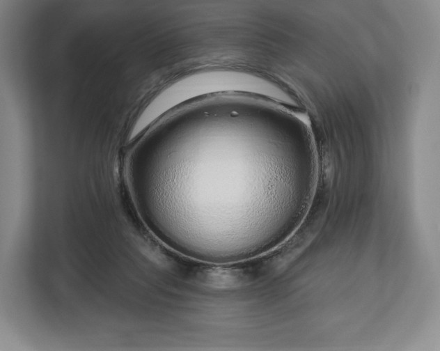 X0000112720261200908271414