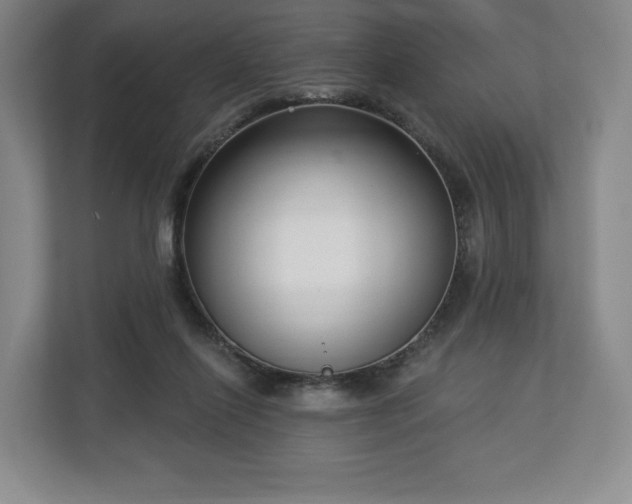 X0000112720262200908271414