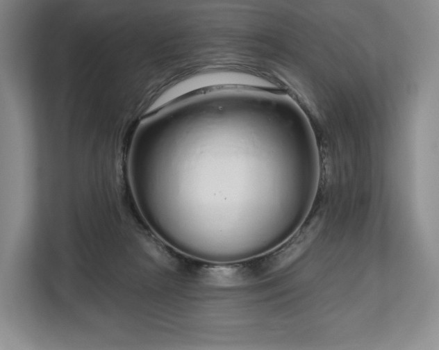 X0000112720265200908271414